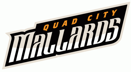 quad city mallards 2014-pres wordmark logo iron on heat transfer